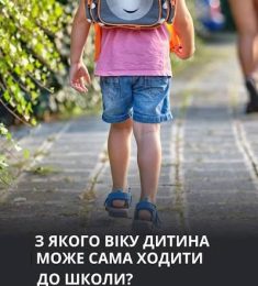 Шлях дитини до школи, магазину чи друзів із сусідньої вулиці може проходити через автомобільні дороги та перехрестя